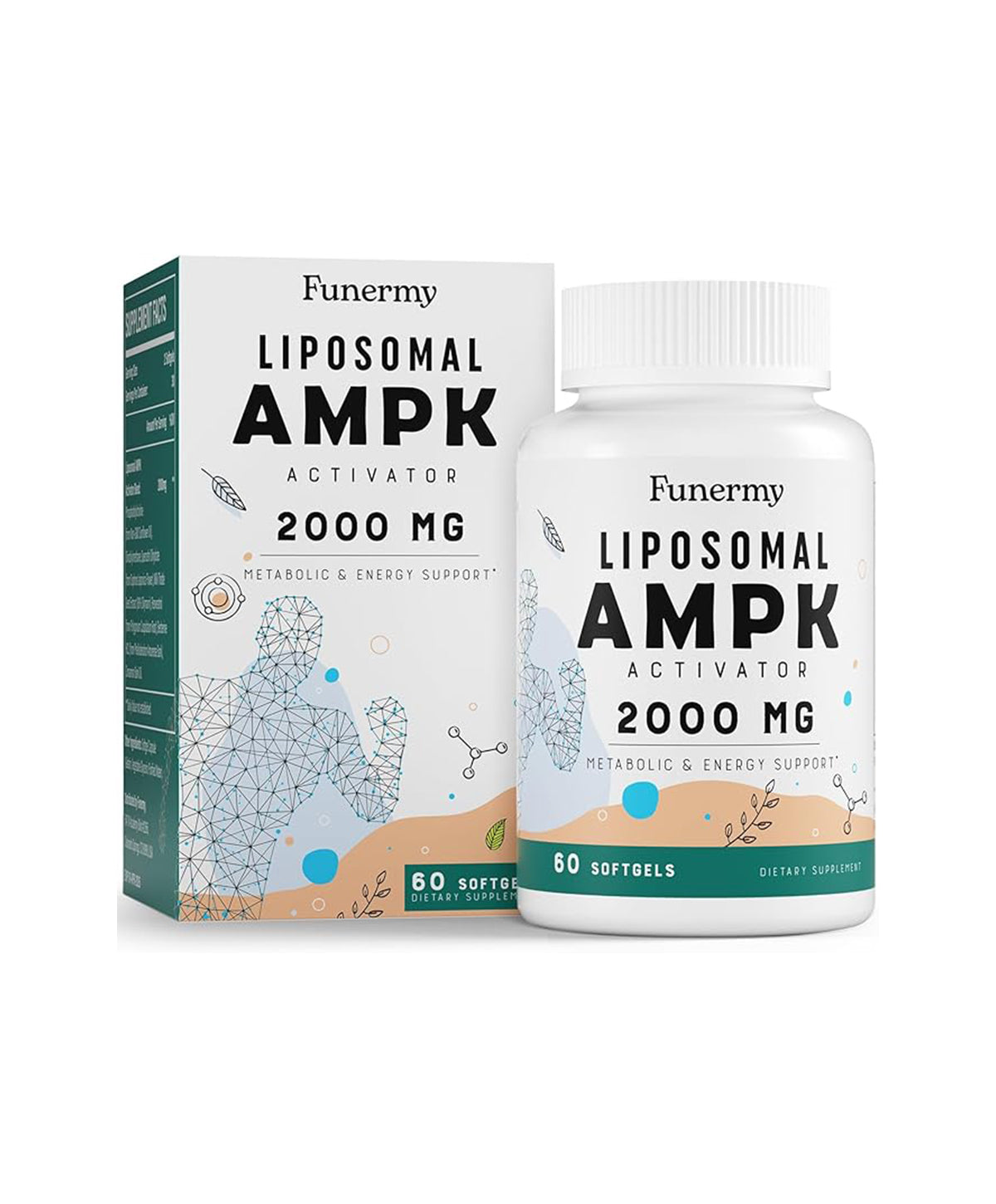 Liposomal AMPK Activator